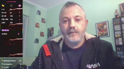 sonoboris webcam model stream image