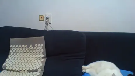 KaelNox webcam model stream image