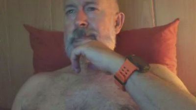 Jarpo webcam model stream image