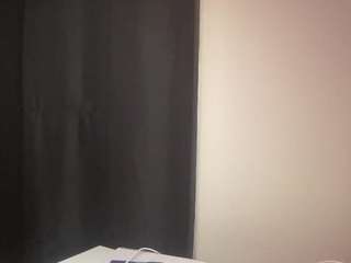 t1ger webcam model stream image