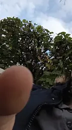 Krasav4ik4ik webcam model stream image