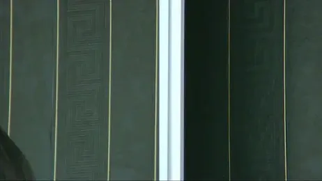 SophiaVilner webcam model stream image