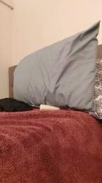 HimNMeguys webcam model stream image