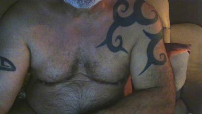 artilleur5 webcam model stream image