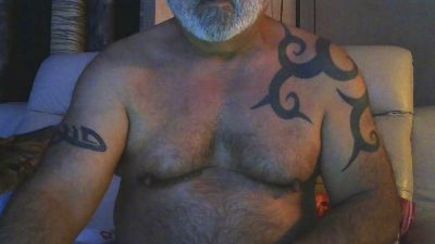 artilleur5 webcam model stream image