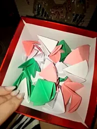 Iitaniee webcam model stream image