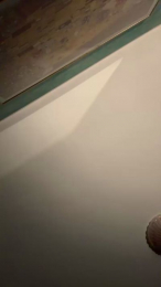 Sadamasa1 webcam model stream image