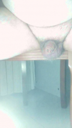 Safadogordinh webcam model stream image