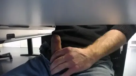 pliko webcam model stream image