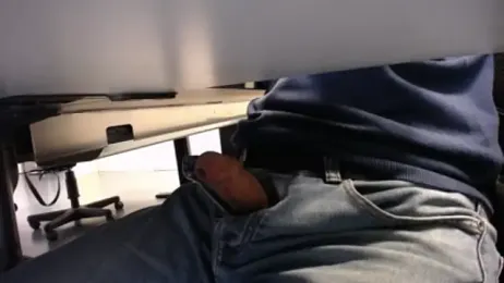 pliko webcam model stream image