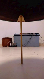 Myqueenfeet1900 webcam model stream image