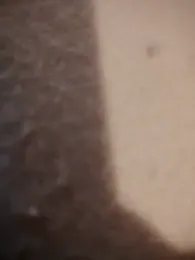 BarringHandling webcam model stream image