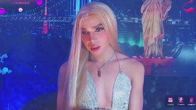 tai_ webcam model stream image