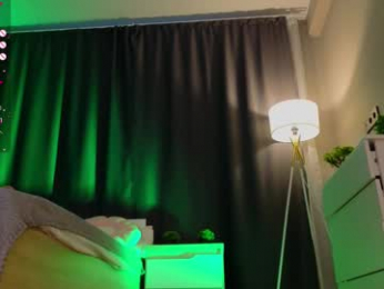 zelda_1 webcam model stream image