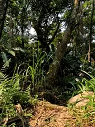 Zack2308tw webcam stripchat model stream image