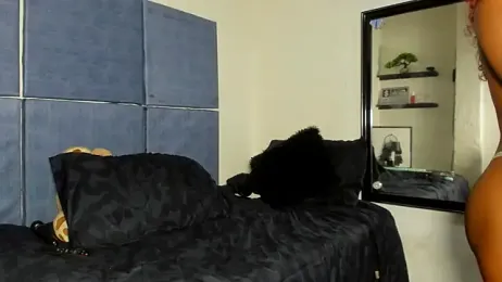 Ebonydollxx webcam model stream image