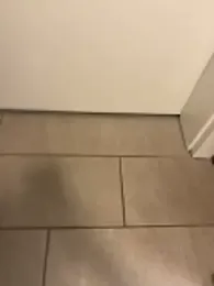 MolleDolle webcam model stream image