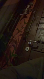 Hotcollageboy webcam model stream image