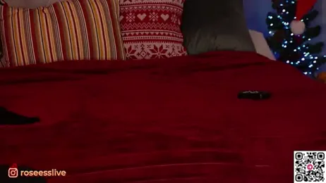 ROSEESS webcam model stream image