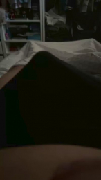 TimidoOtaku webcam model stream image