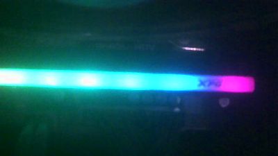 PICA_DAN webcam model stream image