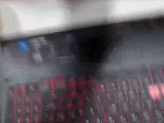 mshunnybunnyy webcam model stream image