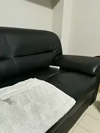 sofe8161 webcam model stream image