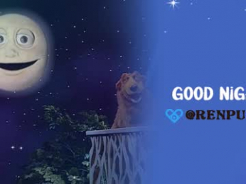 renpuppy webcam model stream image