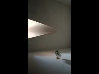 samaelandlilitt webcam model stream image