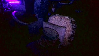 blindsurfer webcam model stream image