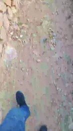 negreee webcam cam4 model stream image