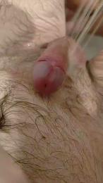 Piloupon webcam model stream image