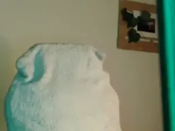 velvet_lips01 webcam model stream image