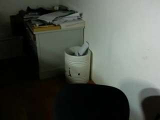 essartier webcam model stream image