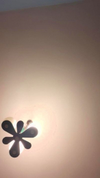 Semental022 webcam cam4 model stream image