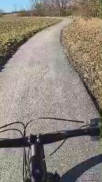 Truespirit webcam model stream image