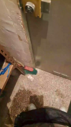 Chilllll69 webcam cam4 model stream image