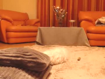 andrasweetie webcam model stream image