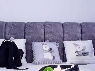 bss-naia webcam model stream image