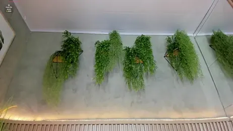 Lana_Lann webcam stripchat model stream image