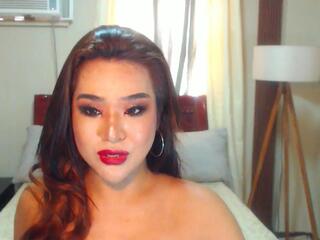 Amara Vixen webcam model stream image