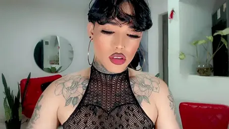 little_star_porn webcam model stream image