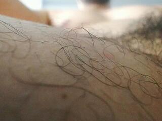 Sam Jacob webcam model stream image