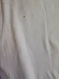 Atefnabil1 webcam model stream image