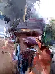 joanaelaa webcam model stream image