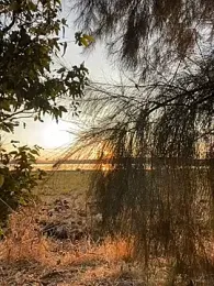 paulkrotz webcam model stream image