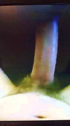 Texasbestest webcam model stream image