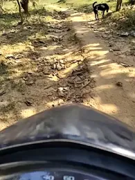 Amankhan73 webcam model stream image