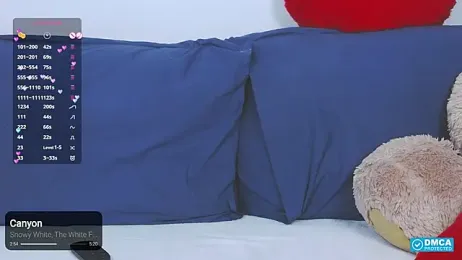 -Lorik- webcam model stream image