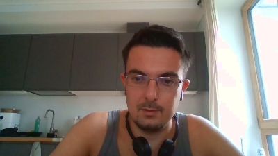 Flygvrd webcam model stream image